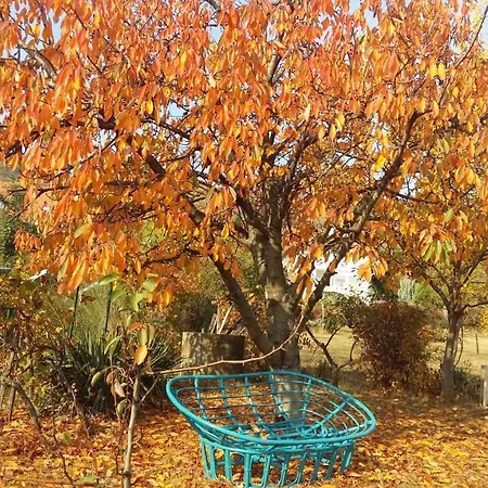 Ronyhome Casa de Férias