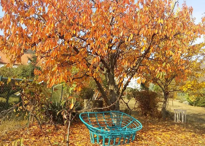 Ronyhome בית נופש